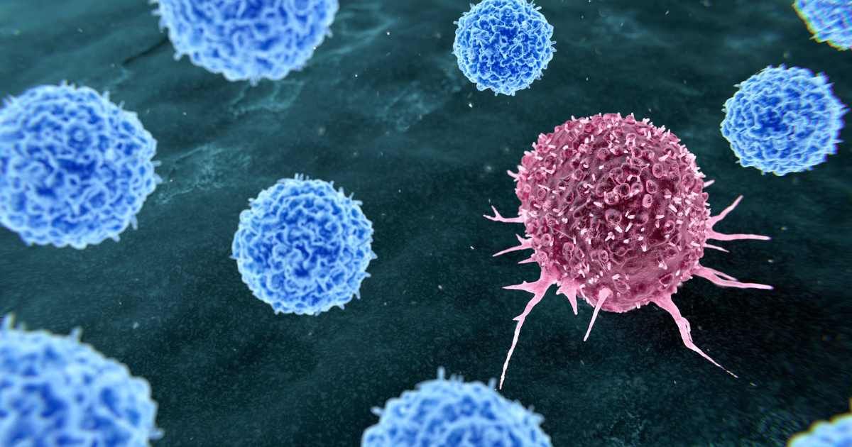 Scientists Uncover Hidden Nuclear Droplets That Link Multiple Leukemias and Reveal a New Therapeutic Target Scientists Uncover Hidden Nuclear Droplets That Link Multiple Leukemias and Reveal a New Therapeutic Target